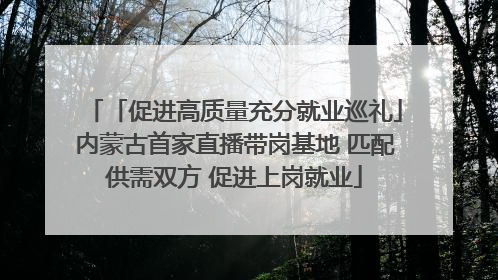 「促进高质量充分就业巡礼」内蒙古首家直播带岗基地 匹配供需双方 促进上岗就业