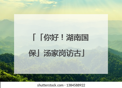 「你好！湖南国保」汤家岗访古