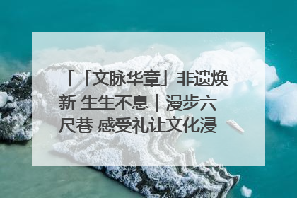 「文脉华章」非遗焕新 生生不息｜漫步六尺巷 感受礼让文化浸润的“巷”往生活