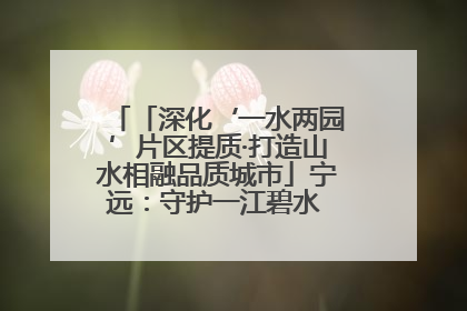 「深化‘一水两园’片区提质·打造山水相融品质城市」宁远：守护一江碧水 共享幸福河湖
