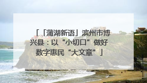 「蒲湖新语」滨州市博兴县：以“小切口”做好数字惠民“大文章”