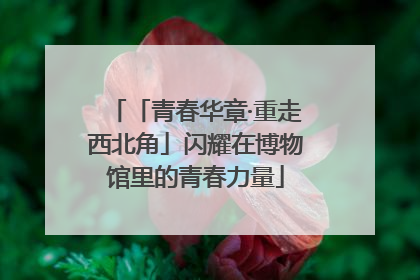 「青春华章·重走西北角」闪耀在博物馆里的青春力量