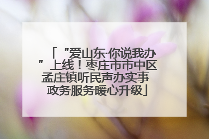 “爱山东·你说我办”上线！枣庄市市中区孟庄镇听民声办实事 政务服务暖心升级