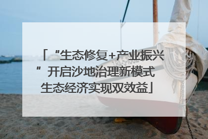 “生态修复+产业振兴”开启沙地治理新模式 生态经济实现双效益