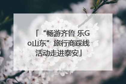 “畅游齐鲁 乐Go山东”旅行商踩线活动走进泰安