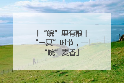 “皖”里有粮｜“三夏”时节，一“皖”麦香