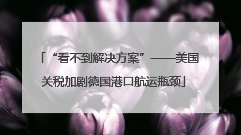 “看不到解决方案”——美国关税加剧德国港口航运瓶颈