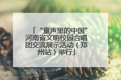 “童声里的中国”河南省文明校园合唱团交流展示活动（郑州站）举行