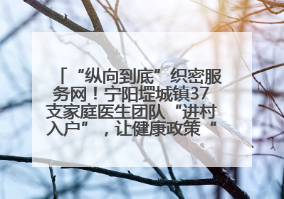 “纵向到底”织密服务网！宁阳堽城镇37支家庭医生团队“进村入户”，让健康政策“落地生根”