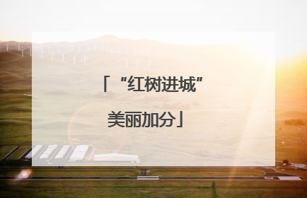 “红树进城” 美丽加分