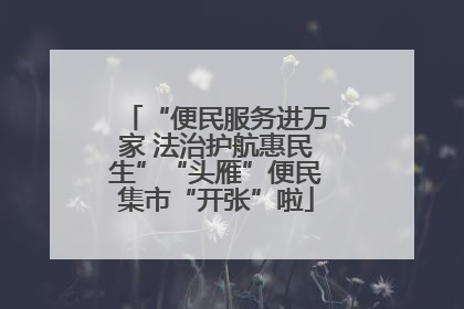 “便民服务进万家 法治护航惠民生”“头雁”便民集市“开张”啦
