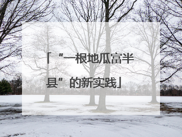 “一根地瓜富半县”的新实践