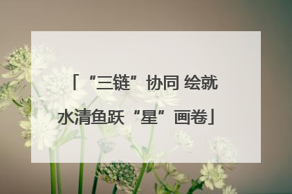 “三链”协同 绘就水清鱼跃“星”画卷