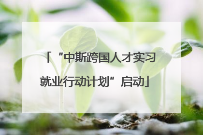 “中斯跨国人才实习就业行动计划”启动