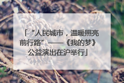“人民城市，温暖照亮前行路”——《我的梦》公益演出在沪举行
