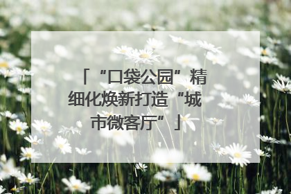 “口袋公园”精细化焕新打造“城市微客厅”
