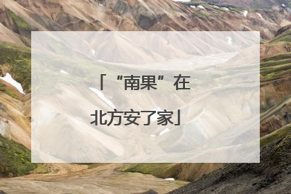 “南果”在北方安了家