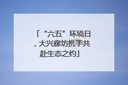 “六五”环境日，大兴廊坊携手共赴生态之约