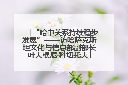 “哈中关系持续稳步发展”——访哈萨克斯坦文化与信息部副部长叶夫根尼·科切托夫