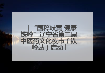 “国粹岐黄 健康铁岭”辽宁省第二届中医药文化夜市（铁岭站）启动