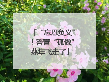 “忘恩负义”！警营“孤傲”燕隼飞走了