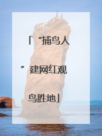 “捕鸟人”建网红观鸟胜地