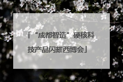 “成都智造”硬核科技产品闪耀西博会