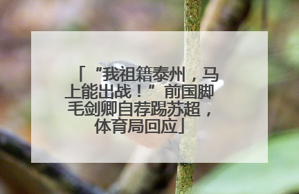 “我祖籍泰州，马上能出战！”前国脚毛剑卿自荐踢苏超，体育局回应