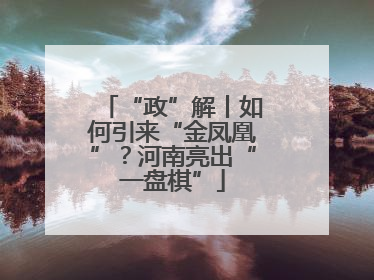 “政”解丨如何引来“金凤凰”？河南亮出“一盘棋”