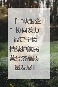 “政银企”协同发力 福建宁德持续护航民营经济高质量发展