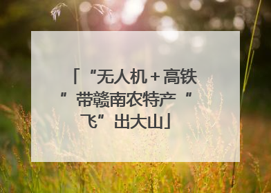 “无人机＋高铁”带赣南农特产“飞”出大山