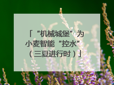 “机械城堡”为小麦智能“控水”（三夏进行时）