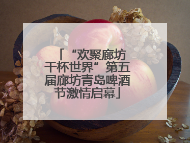 “欢聚廊坊 干杯世界”第五届廊坊青岛啤酒节激情启幕