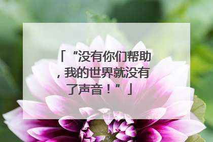 “没有你们帮助，我的世界就没有了声音！”