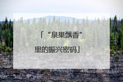 “泉果飘香”里的振兴密码