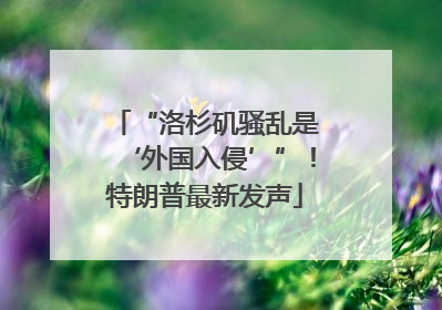 “洛杉矶骚乱是‘外国入侵’”！特朗普最新发声