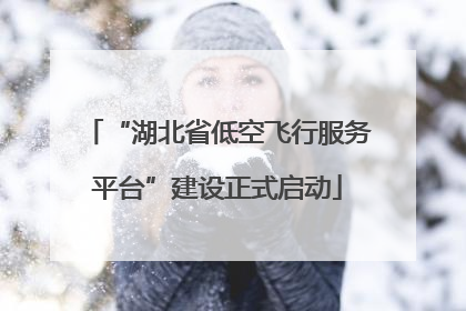 “湖北省低空飞行服务平台”建设正式启动