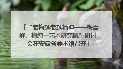 “老梅越老越精神——梅雪峰、梅纯一艺术研究展”研讨会在安徽省美术馆召开