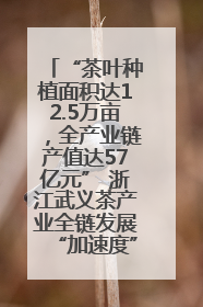 “茶叶种植面积达12.5万亩，全产业链产值达57亿元” 浙江武义茶产业全链发展“加速度”