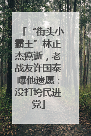 “街头小霸王”林正杰癌逝，老战友许国泰曝他遗愿：没打垮民进党