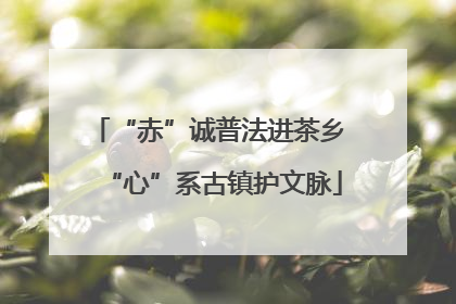 “赤”诚普法进茶乡 “心”系古镇护文脉