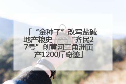 “金种子”改写盐碱地产粮史——“齐民27号”创黄河三角洲亩产1200斤奇迹