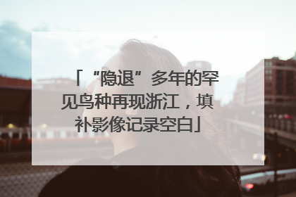 “隐退”多年的罕见鸟种再现浙江，填补影像记录空白