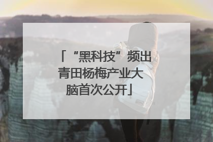 “黑科技”频出 青田杨梅产业大脑首次公开