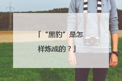 “黑豹”是怎样炼成的？