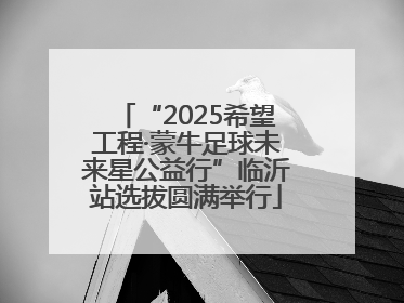 “2025希望工程·蒙牛足球未来星公益行”临沂站选拔圆满举行