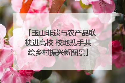 玉山非遗与农产品联袂进高校 校地携手共绘乡村振兴新图景