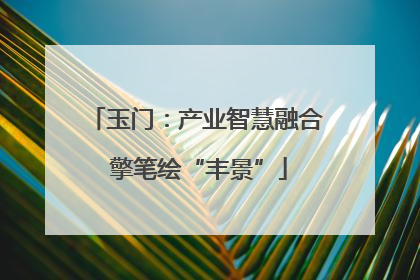 玉门：产业智慧融合 擎笔绘“丰景”