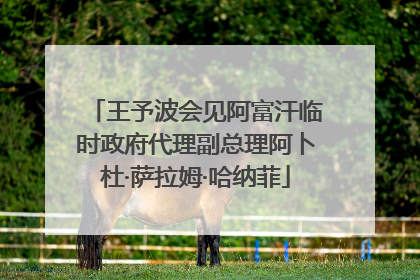 王予波会见阿富汗临时政府代理副总理阿卜杜·萨拉姆·哈纳菲