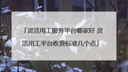 灵活用工服务平台哪家好 灵活用工平台收费标准几个点